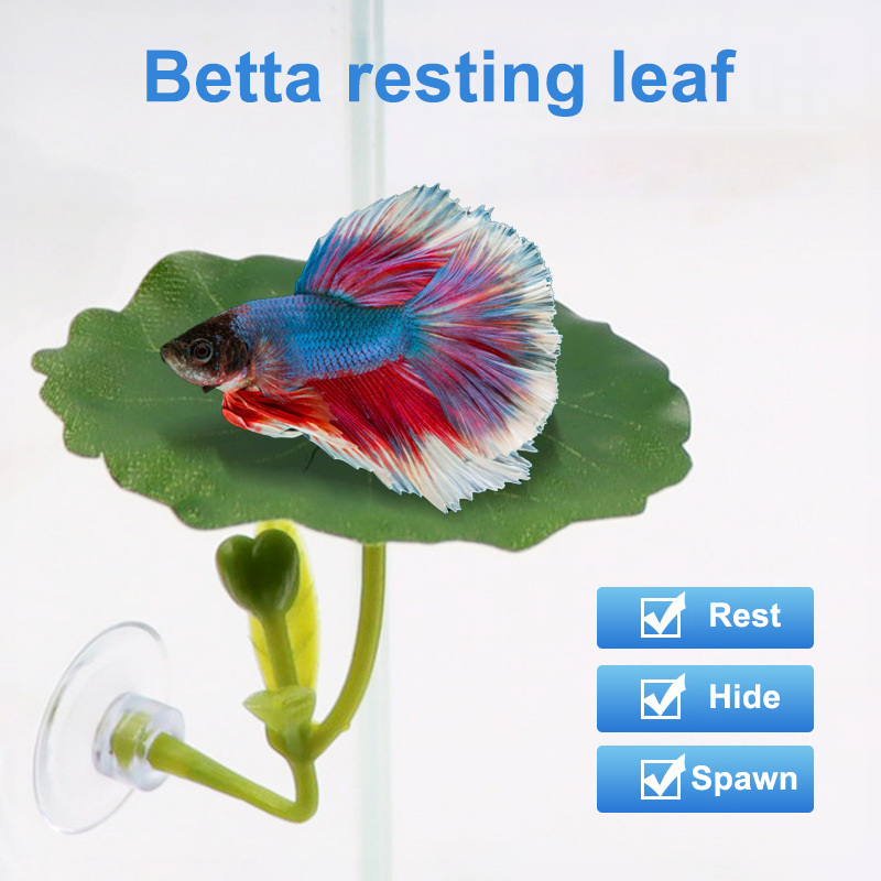 Planted Aquarium Betta - 1 szt. Zielony liść-hamak dla ryb