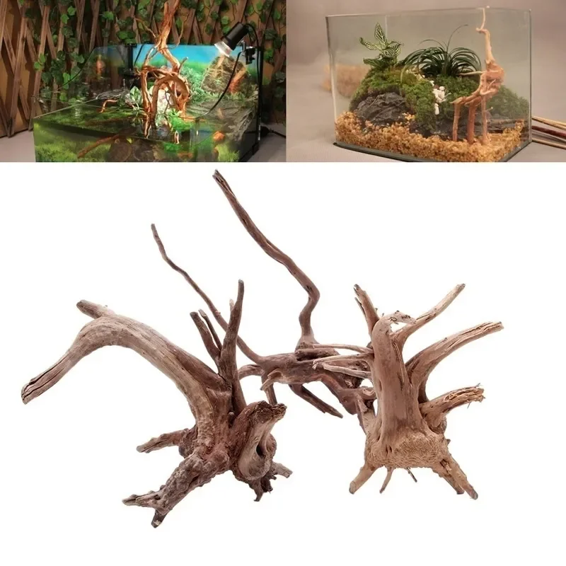 Planted Aquarium Media - Naturalne drzewo pnia Driftwood akwarium korzenie