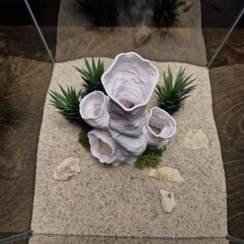 Planted Aquarium Betta - Gorąca Wyprzedaż Drukowany w 3D Koralowy
