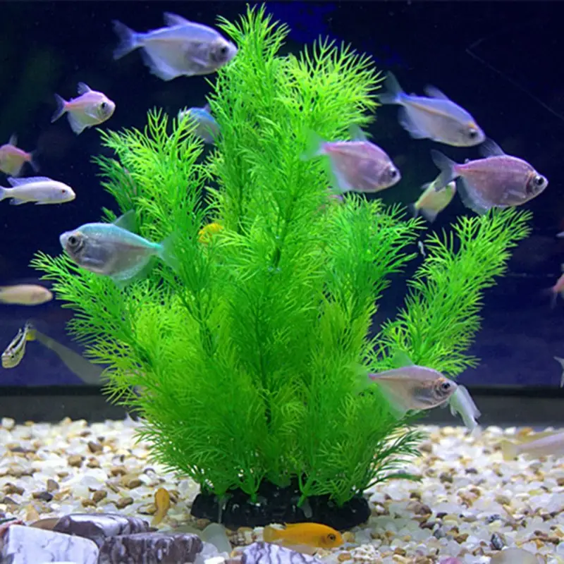 Aquarium Plant Seeds - Sztuczne rośliny akwariowe Podwodna trawa wodna