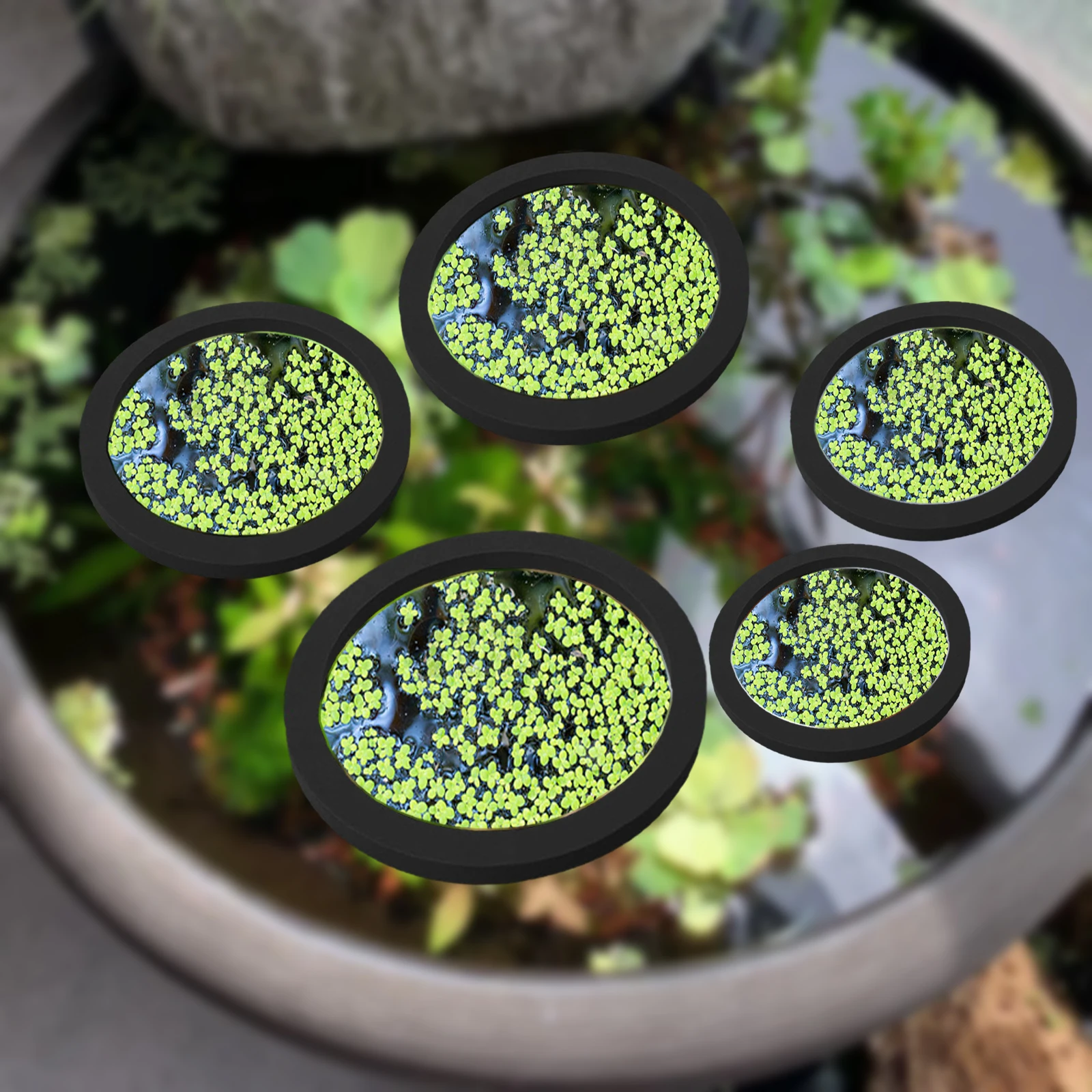 Aquarium Planted Tank - 5Pcs EVA Pierścień do karmienia ryb