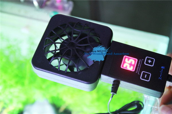 Planted Aquarium Temperature - Mini nano clip powiesić na czujniku