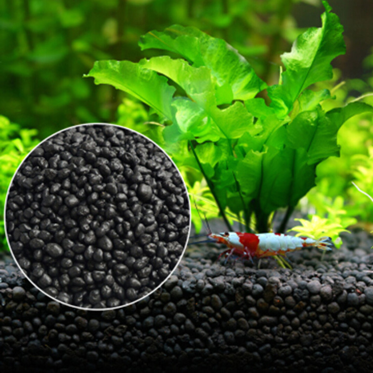 Aquarium Planted Tank - Roślina akwariowa nasiona gleba akwarium podłoże