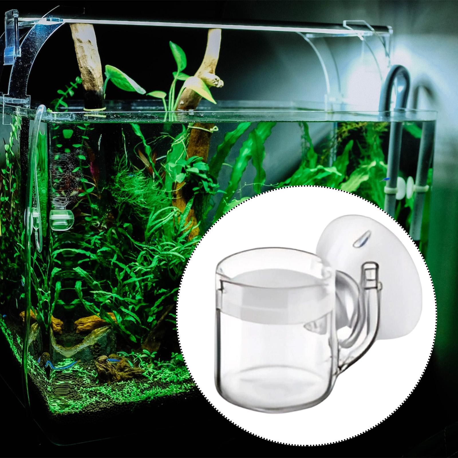 Zestaw do systemu CO2 w akwari – Planted Aquarium Tank Kit recenzja i cena