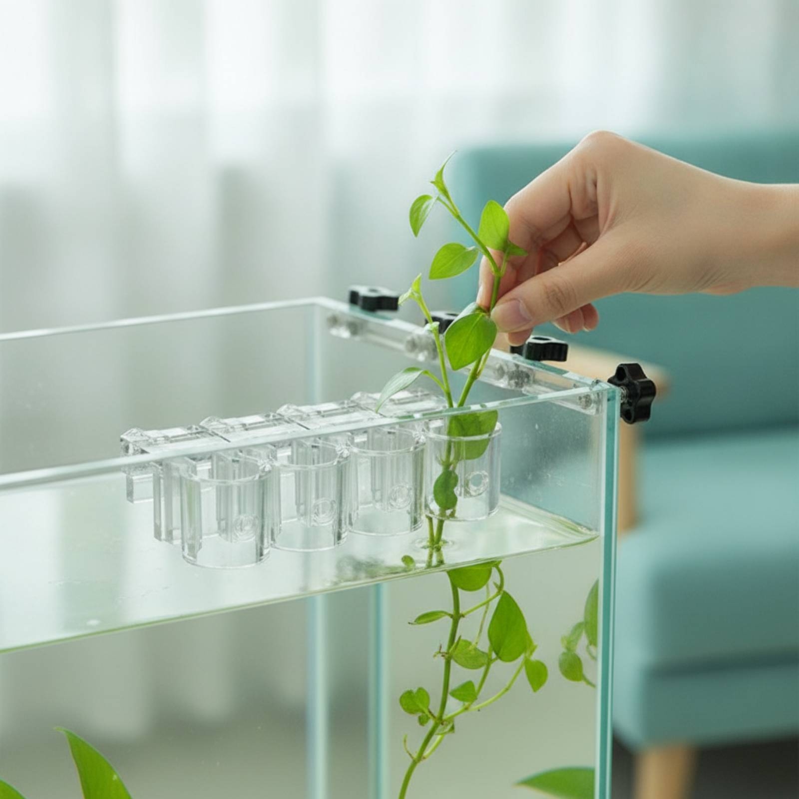 6 sztuk przezroczystych klipsó – Aquarium Planting recenzja i cena
