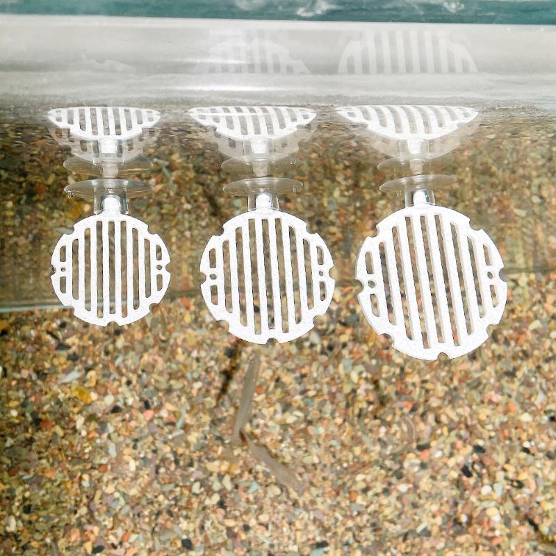 Plastikowy Akwarium Sztuczna S – Planted Aquarium Betta recenzja i cena