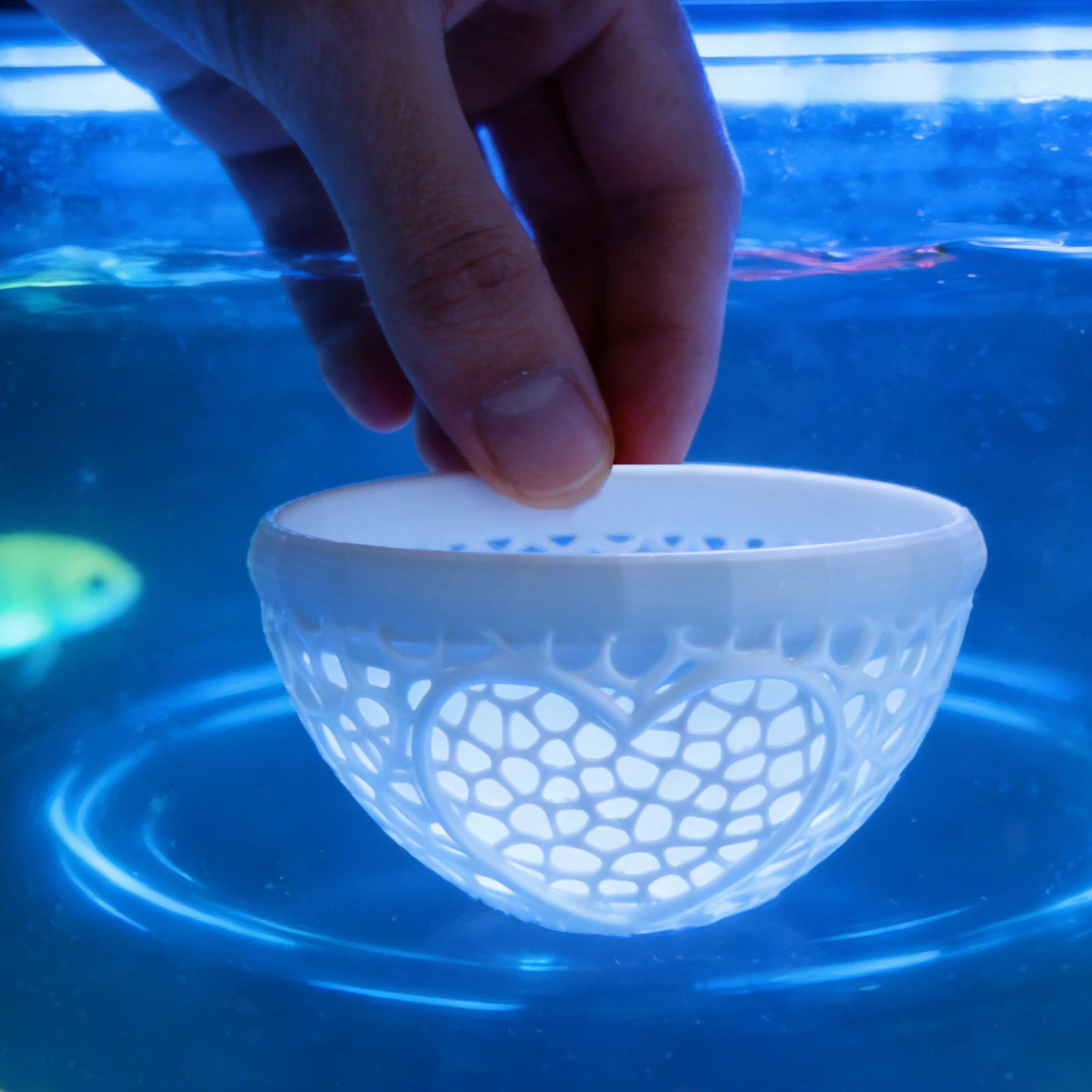 Pływające schronienie dla bett – Planted Aquarium Betta recenzja i cena