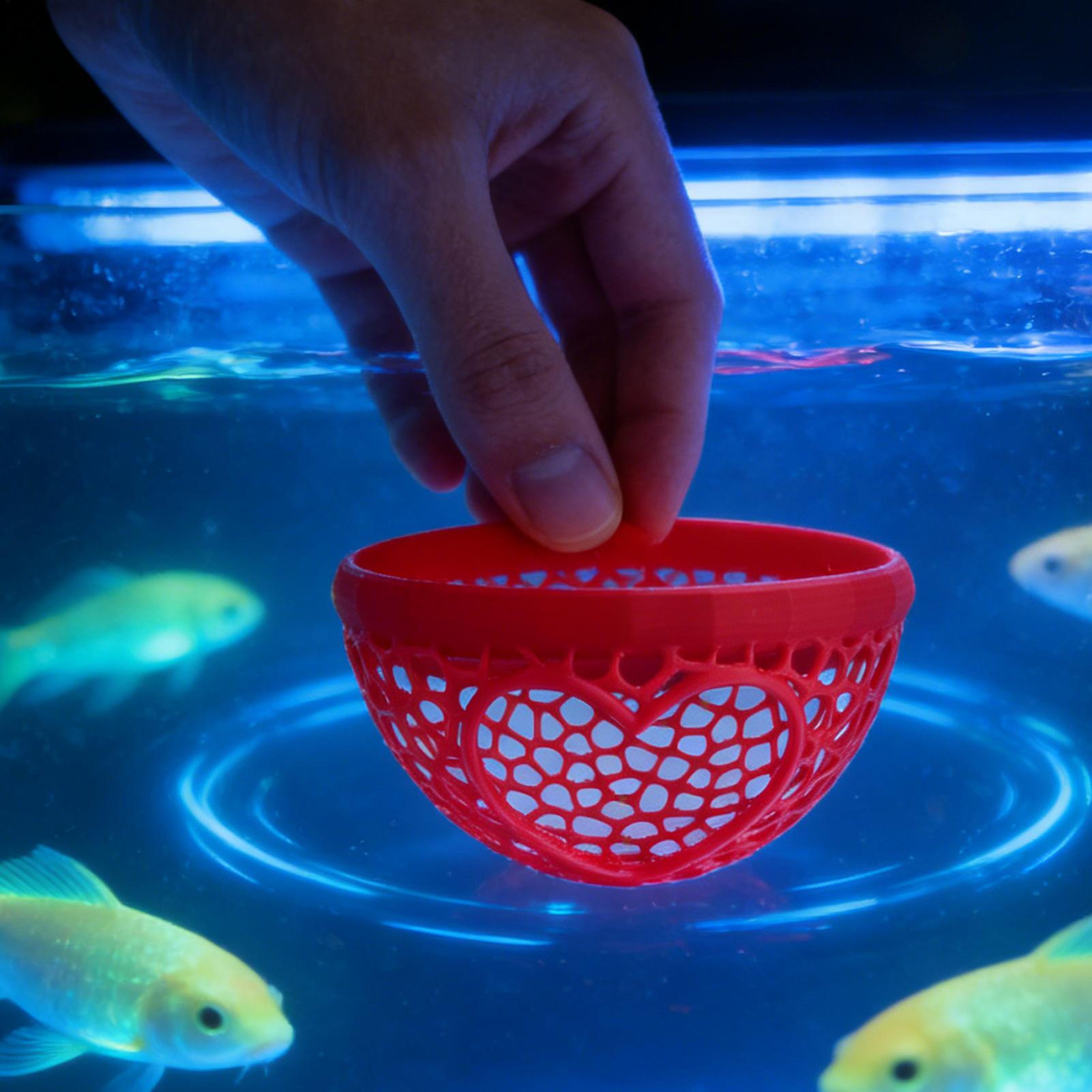 Pływające schronienie dla bett – Planted Aquarium Betta recenzja i cena