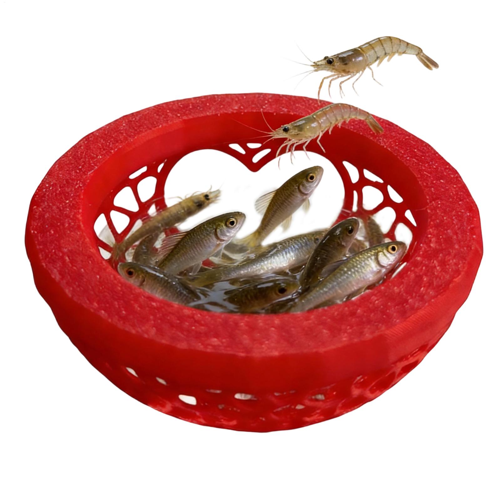 Pływające schronienie dla bett – Planted Aquarium Betta recenzja i cena