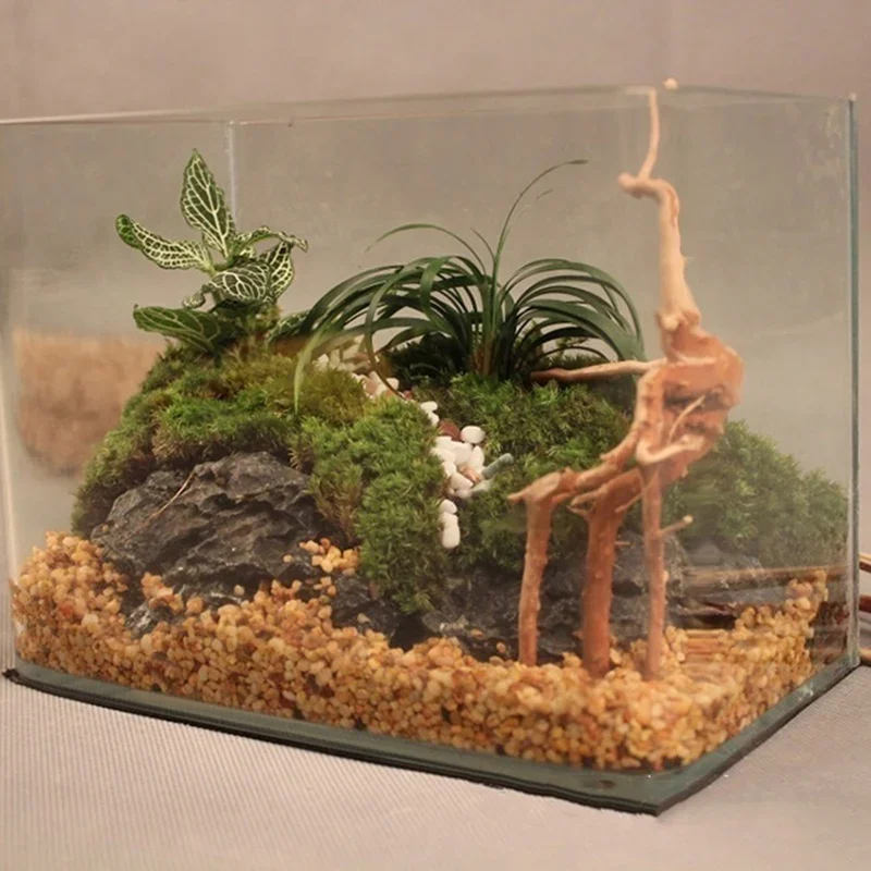 Naturalne drzewo pnia Driftwoo – Planted Aquarium Media recenzja i cena