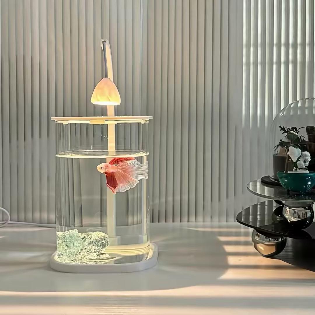 360 °   Panoramiczne Przezrocz – Planted Aquarium Betta recenzja i cena