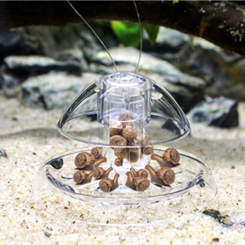 1PCS Fish Tank Aquarium Cleane – Aquarium Plant Utensils recenzja i cena