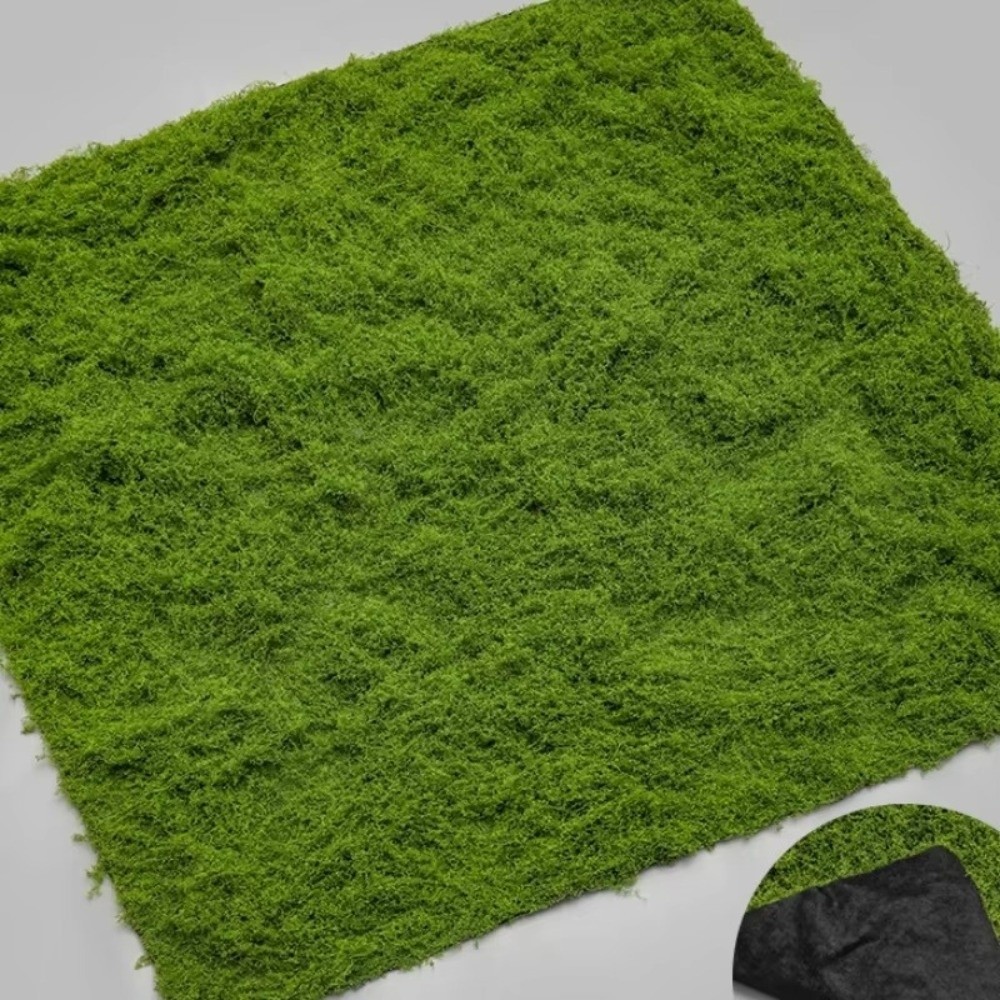 Dywan z sztucznej trawy DIY, t – Aquarium Plant Seeds recenzja i cena