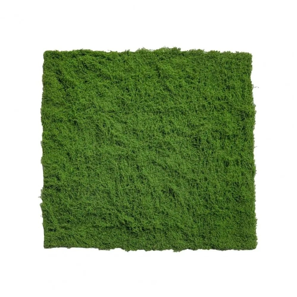 Dywan z sztucznej trawy DIY, t – Aquarium Plant Seeds recenzja i cena