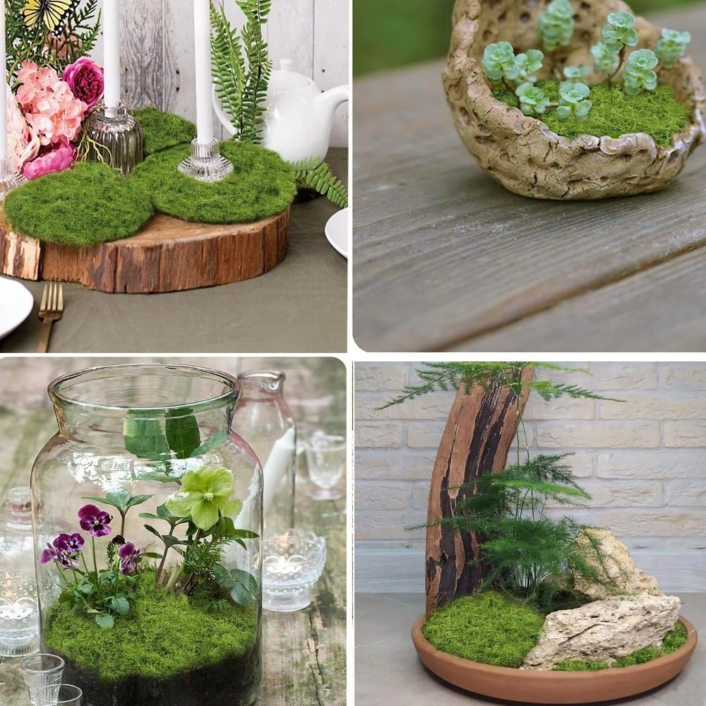 Dywan z sztucznej trawy DIY, t – Aquarium Plant Seeds recenzja i cena