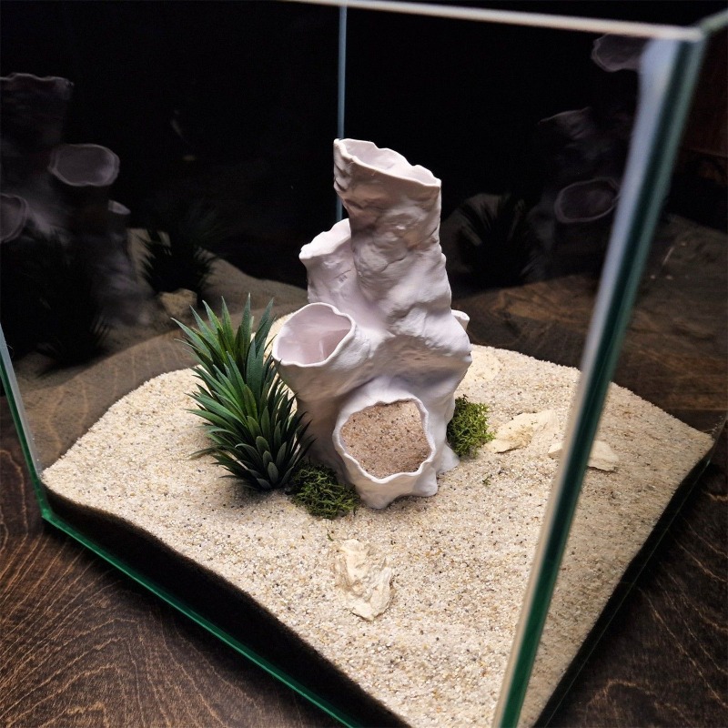 Gorąca Wyprzedaż Drukowany w 3 – Planted Aquarium Betta recenzja i cena