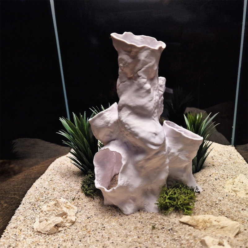 Gorąca Wyprzedaż Drukowany w 3 – Planted Aquarium Betta recenzja i cena