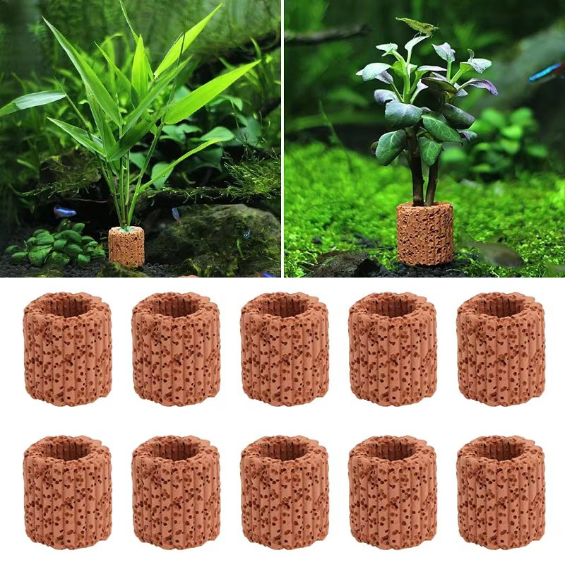 Stały pierścień do roślin wodn – Aquarium Plant Utensils recenzja i cena