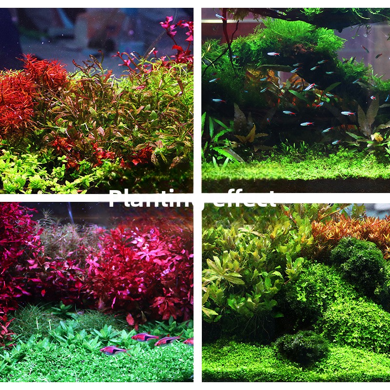 SYSENCIAGA Substrat do akwariu – Aquarium Planted Tank recenzja i cena