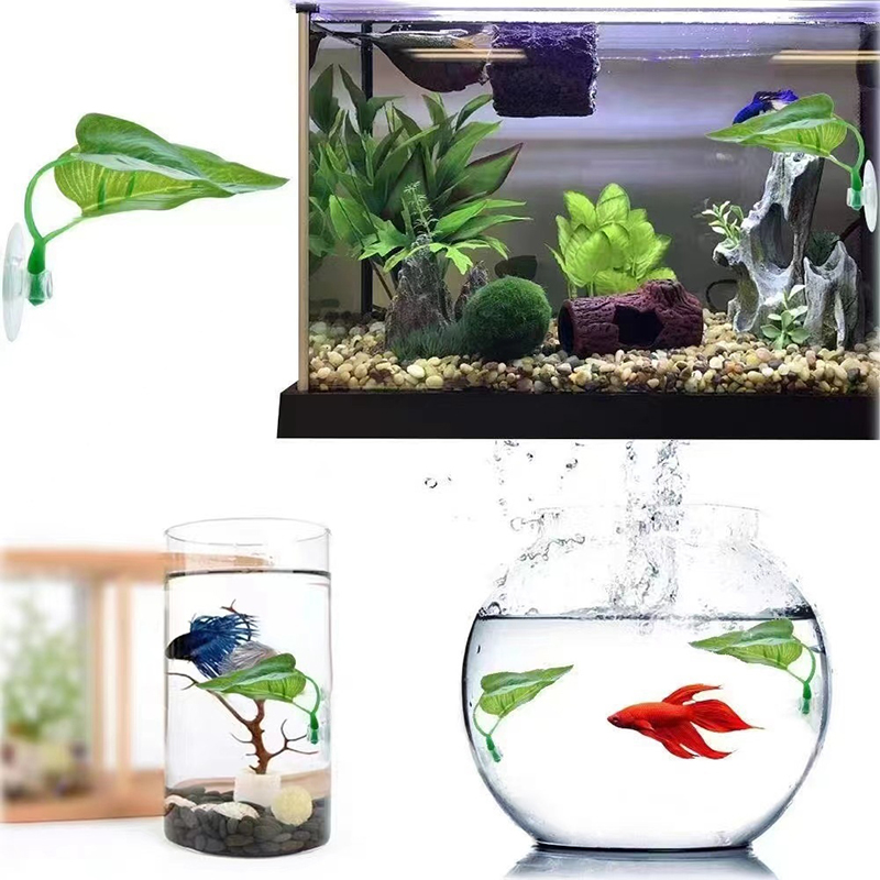 Sztuczne rośliny wodne do akwa – Planted Aquarium Betta recenzja i cena