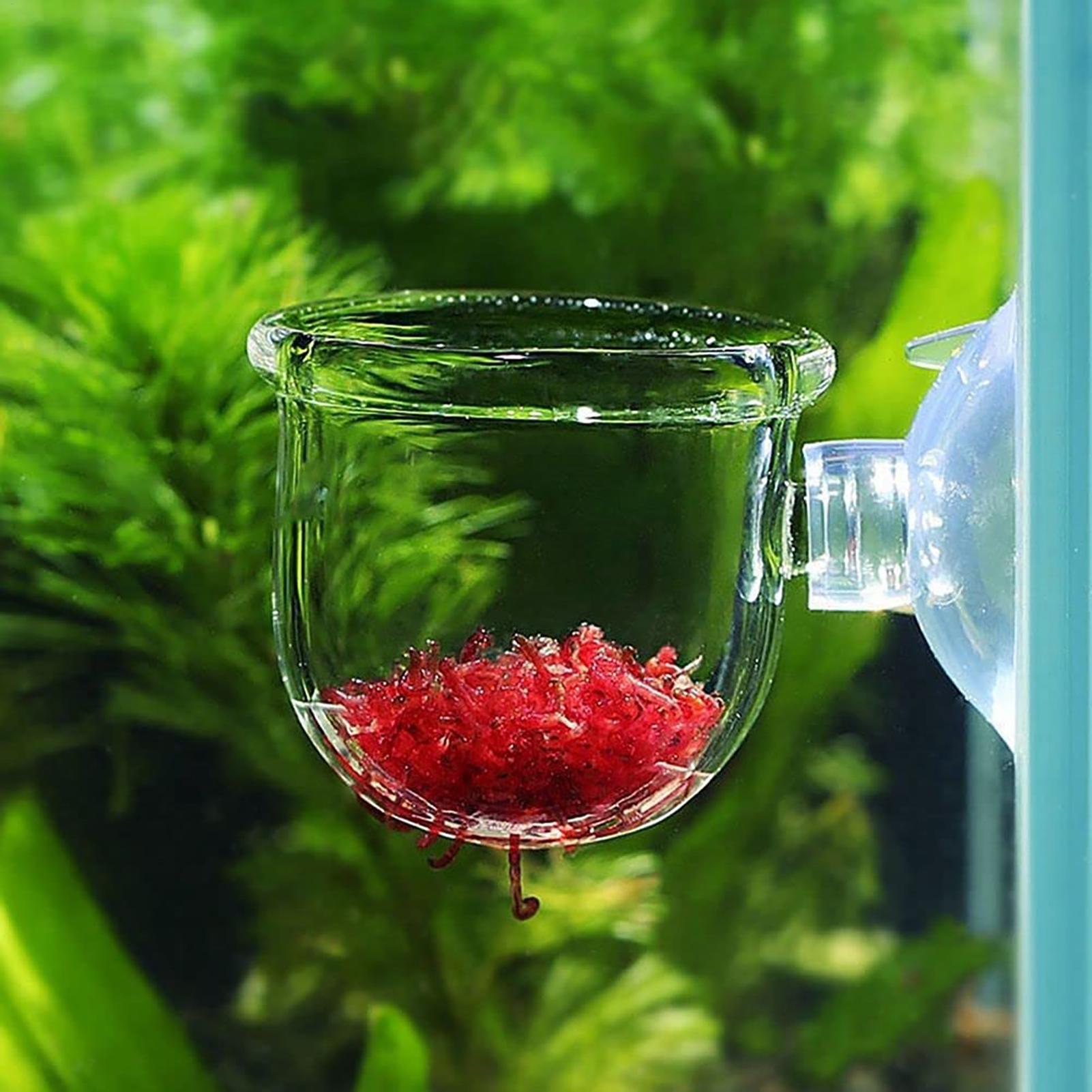 Akrylowy kubek na rośliny do a – Aquarium Plant Utensils recenzja i cena