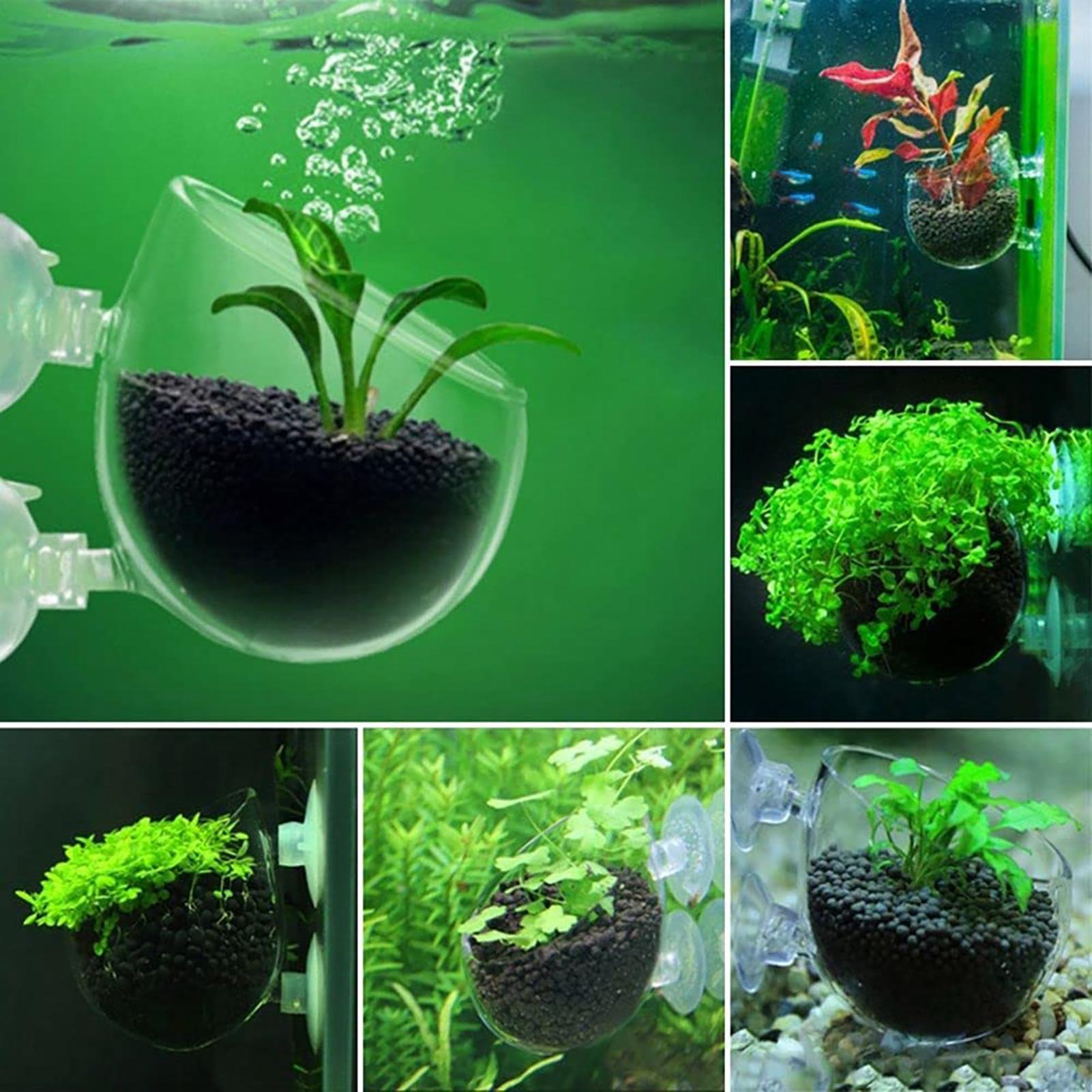 Akrylowy kubek na rośliny do a – Aquarium Plant Utensils recenzja i cena
