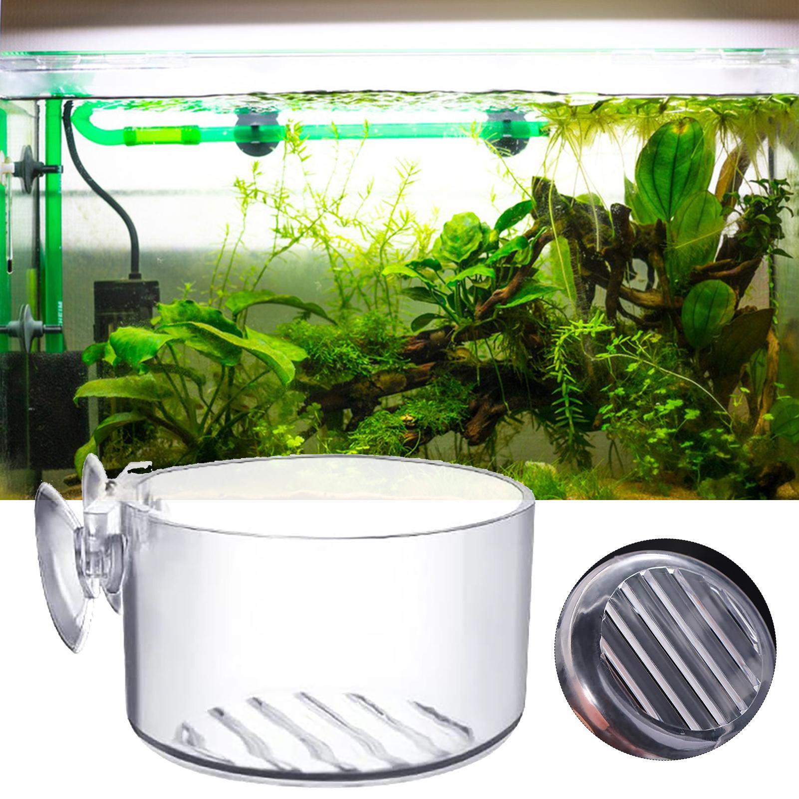 Akrylowy kubek na rośliny do a – Aquarium Plant Utensils recenzja i cena