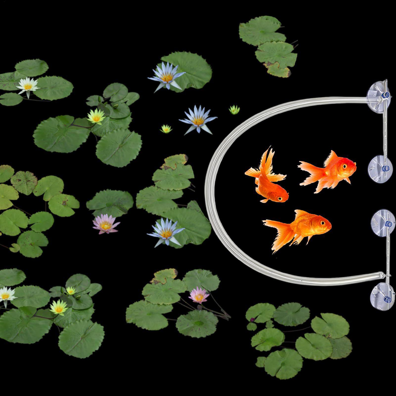 Automatycznie regulowany zesta – Planted Aquarium Tank Kit recenzja i cena