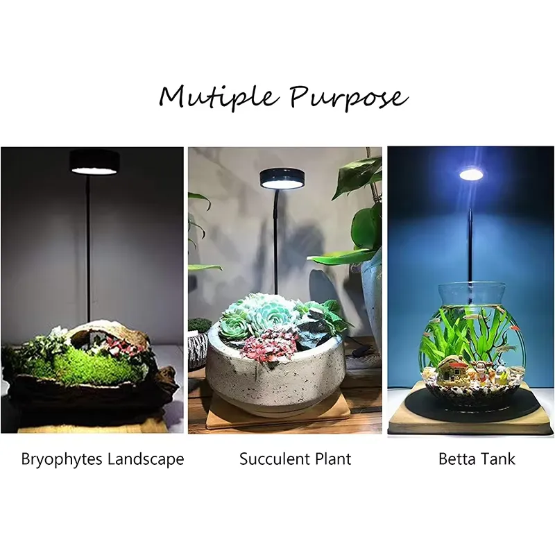 Pełnospektralne światło LED z  – Planted Aquarium Betta recenzja i cena