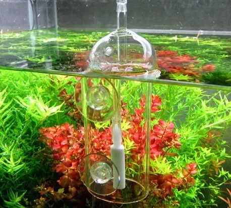 VIV Do urządzenie Cylinder akw – Aquarium Lily Pipe recenzja i cena