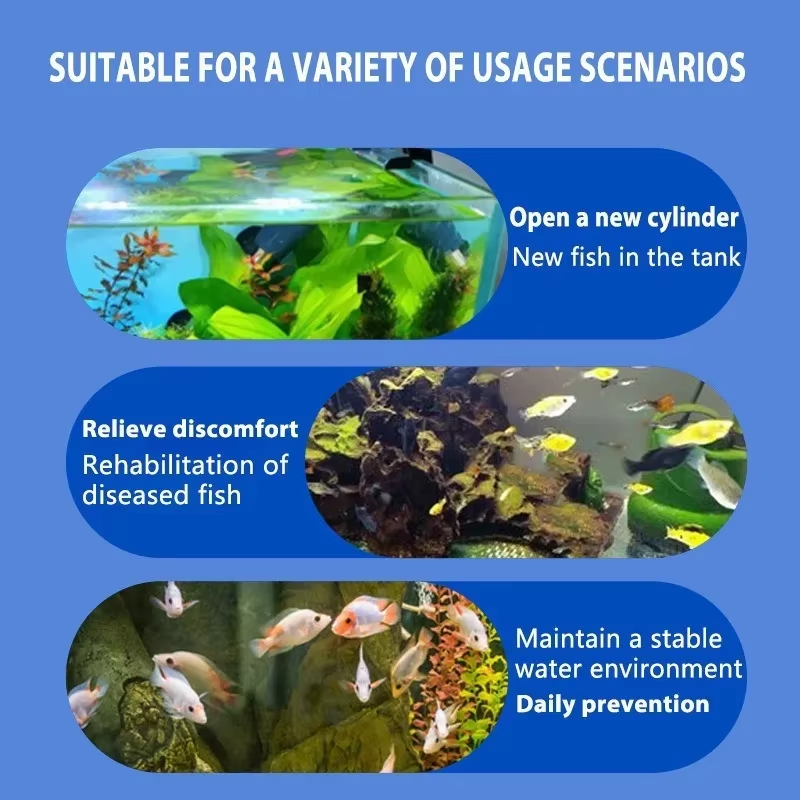 Leczenie chorób ryb SIKEZHAN i – Aquarium Plant Seeds recenzja i cena