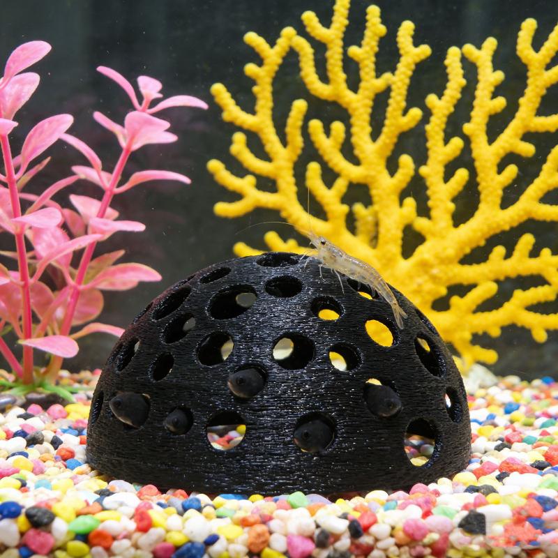 Akwarium Ukryta Jaskinia Schro – Aquarium Plant Seeds recenzja i cena