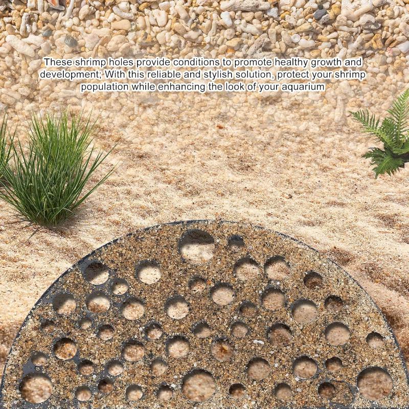 Akwarium Ukryta Jaskinia Schro – Aquarium Plant Seeds recenzja i cena