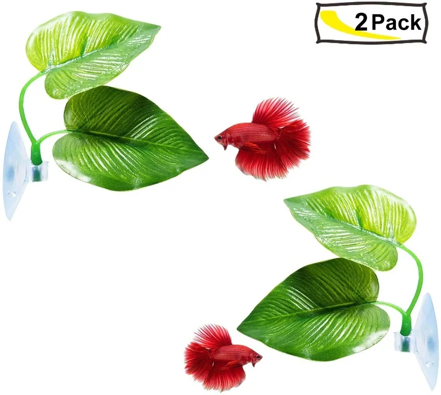 Hamak Betta Fish Leaf symulują – Planted Aquarium Betta recenzja i cena