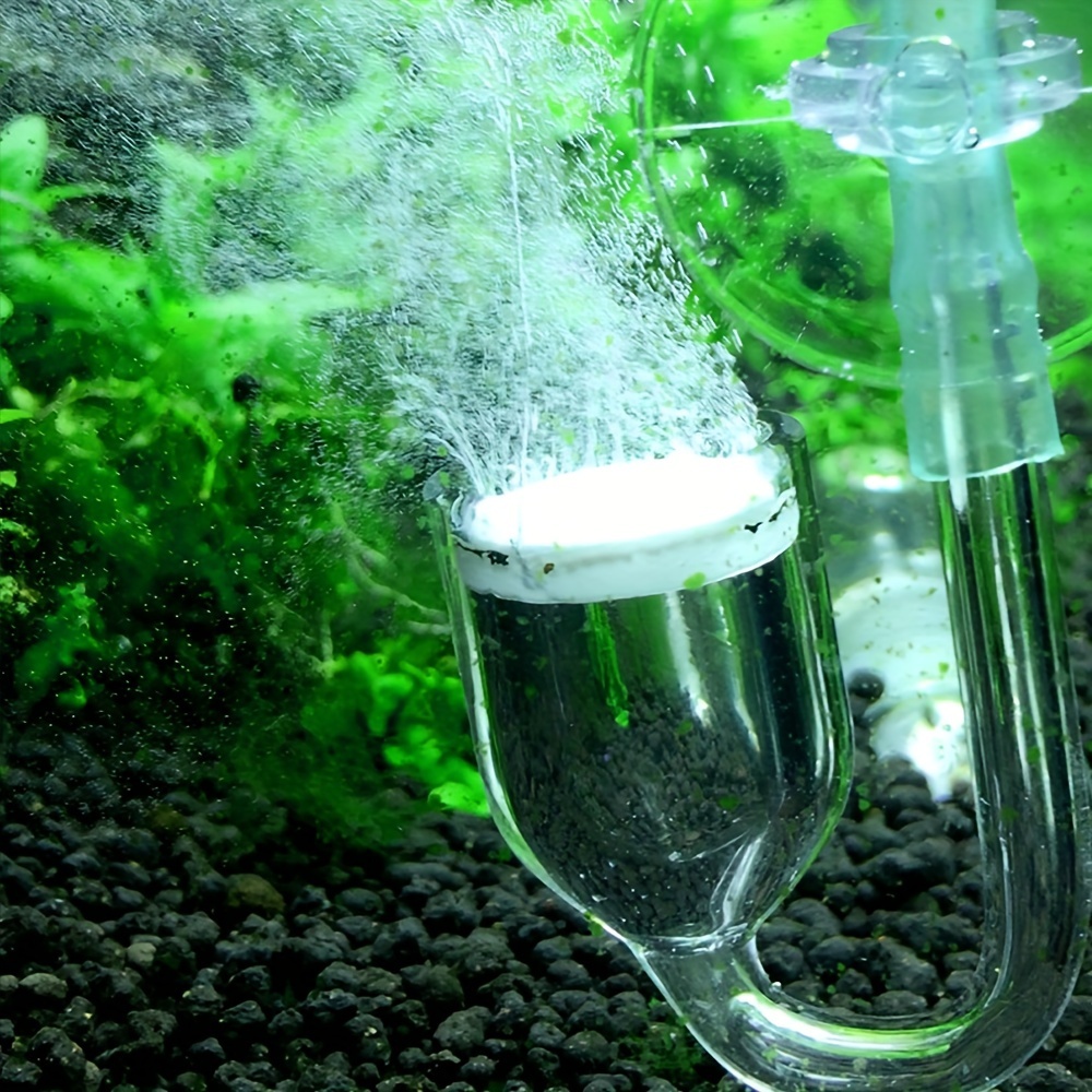 Szklany atomizer CO2 do akwari – Aquarium Plant No Co2 recenzja i cena