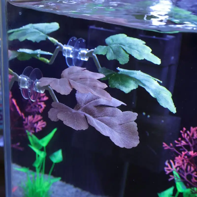 Hamak z liści do akwarium dla  – Planted Aquarium Betta recenzja i cena