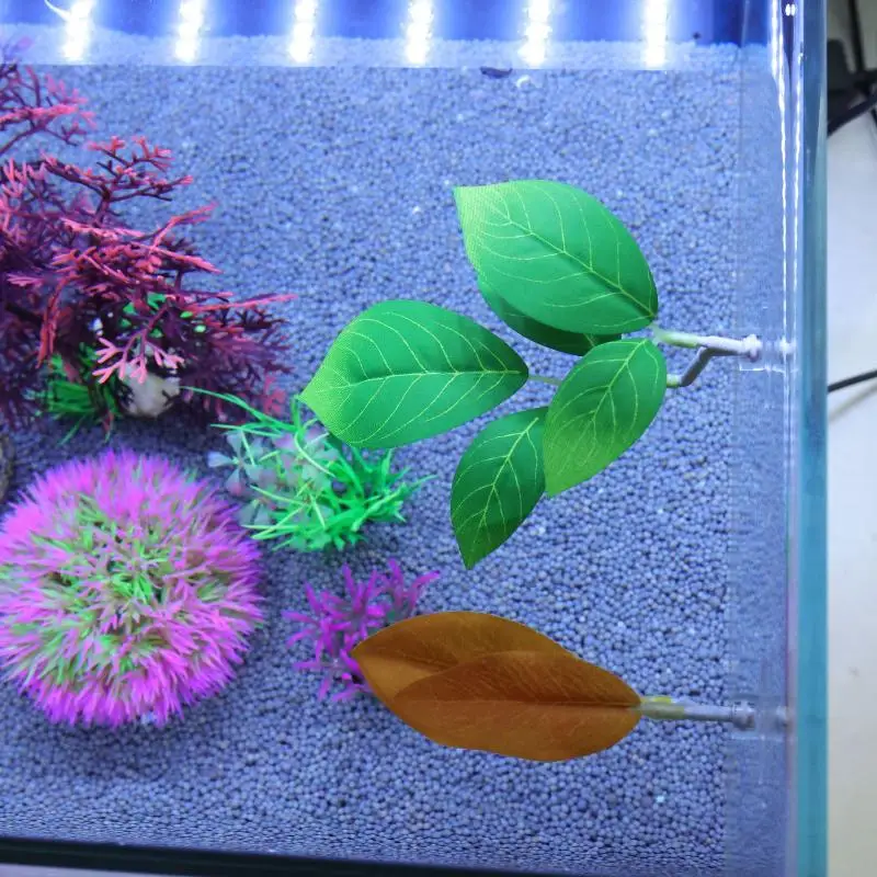 Hamak z liści do akwarium dla  – Planted Aquarium Betta recenzja i cena