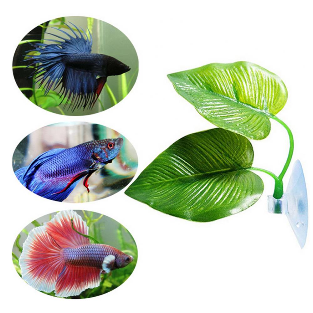 Sztuczna roślina liść Betta ha – Planted Aquarium Betta recenzja i cena