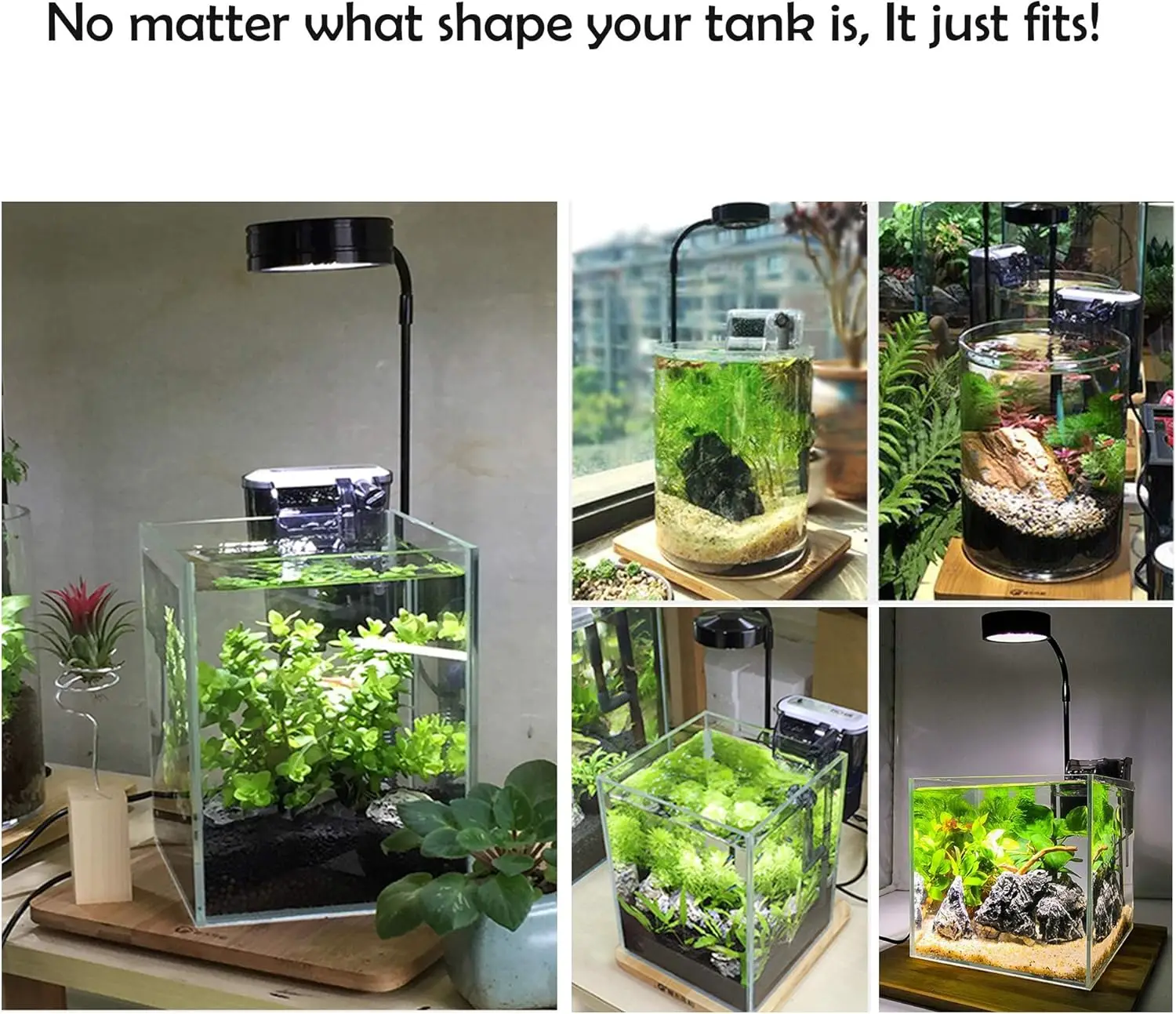 Oświetlenie LED do uprawy akwa – Planted Aquarium Betta recenzja i cena