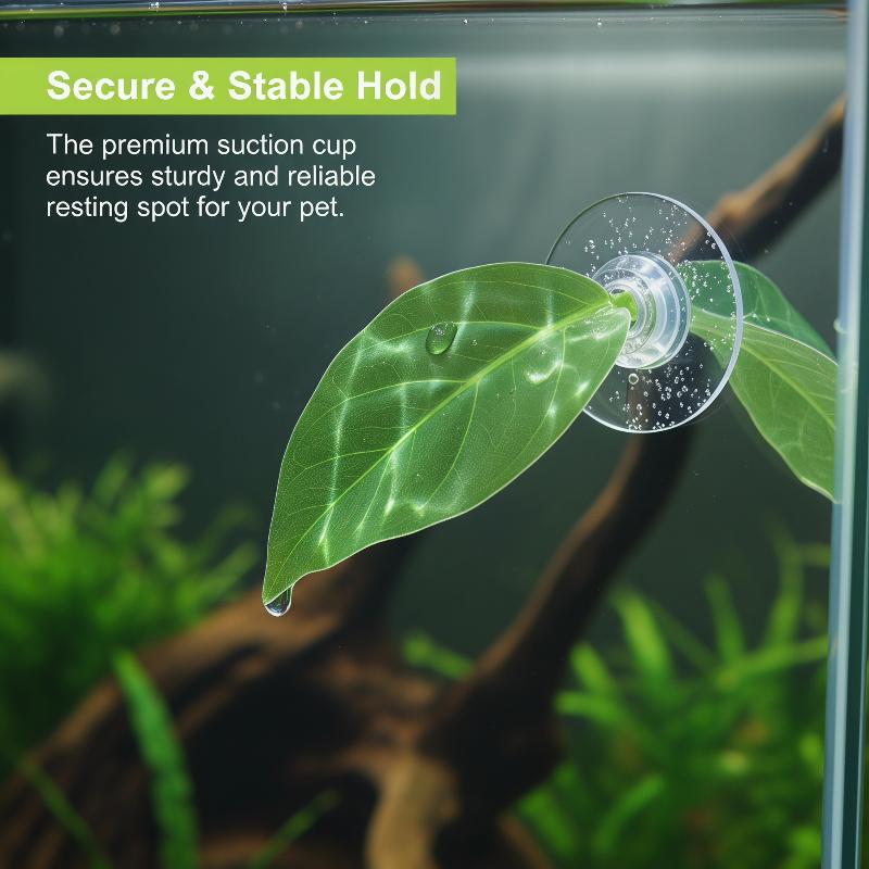 Akcesoria do akwarium Zbiornik – Planted Aquarium Betta recenzja i cena