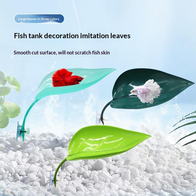 Akcesoria do akwarium Zbiornik – Planted Aquarium Betta recenzja i cena
