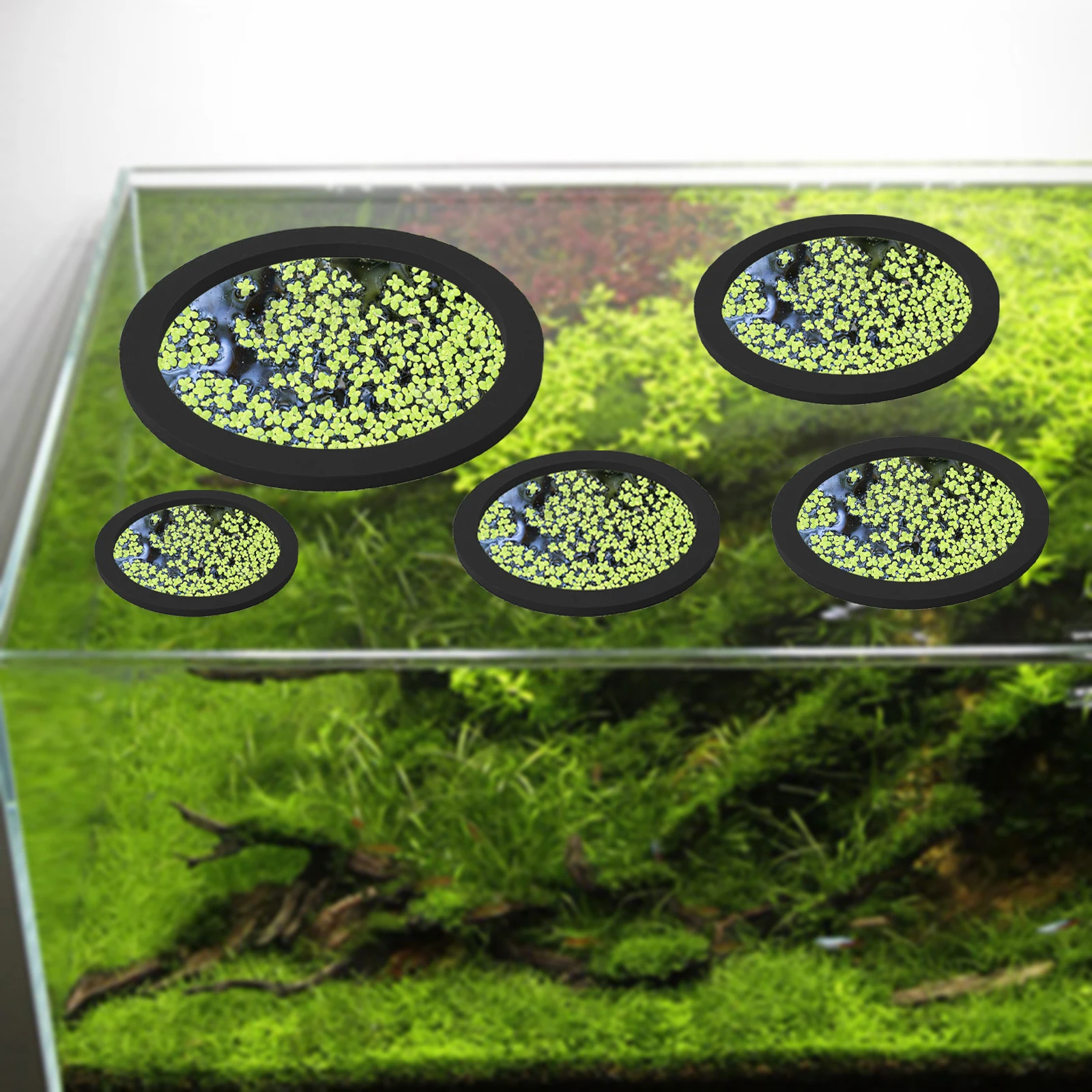 5Pcs EVA Pierścień do karmieni – Aquarium Planted Tank recenzja i cena