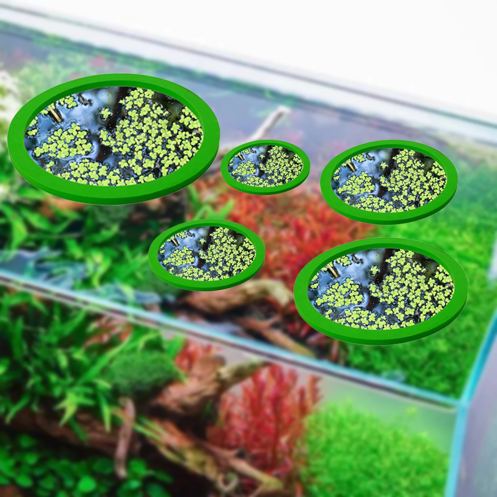 5Pcs EVA Pierścień do karmieni – Aquarium Planted Tank recenzja i cena