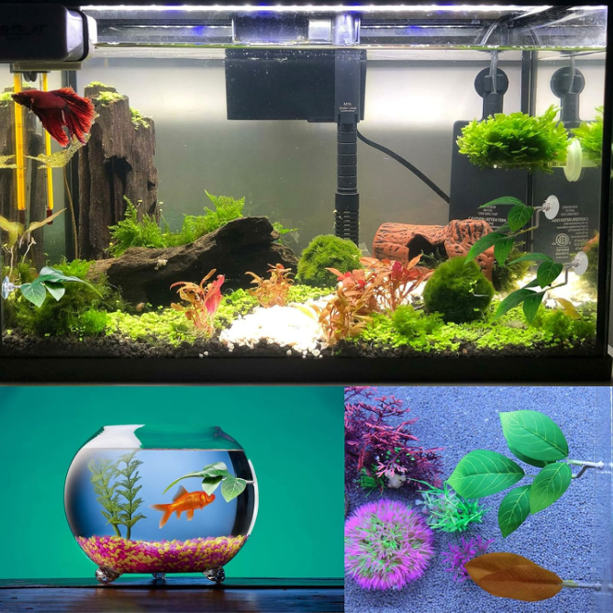 Hamak dla rybki Betta, miękki  – Planted Aquarium Betta recenzja i cena