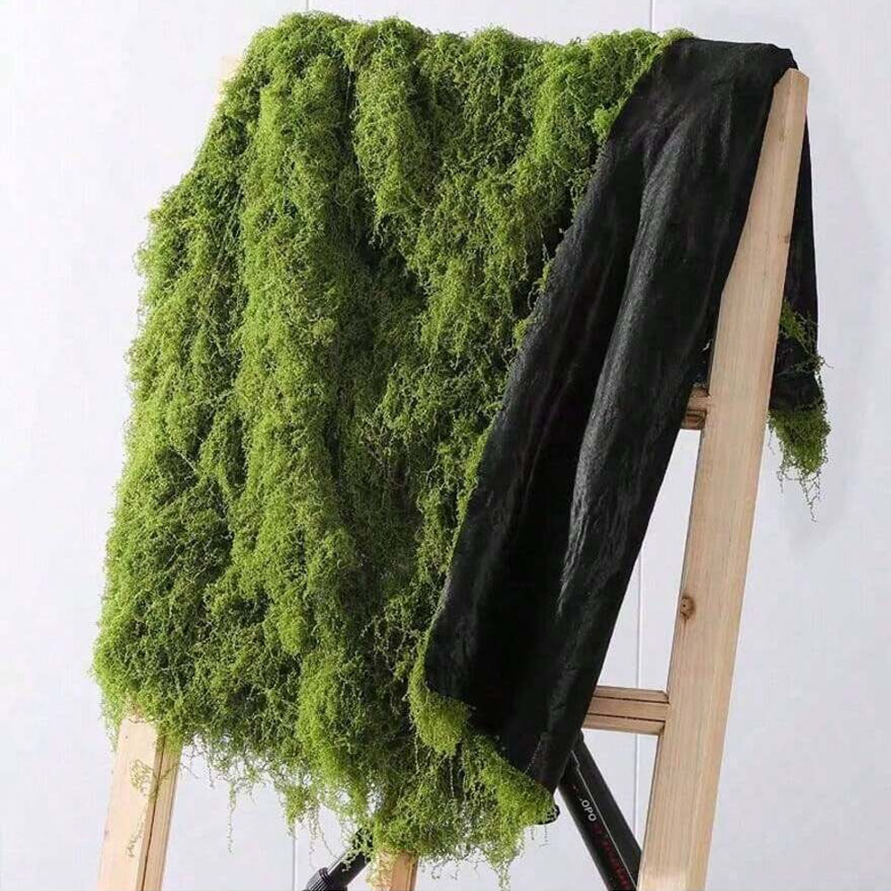 1*1m Sztuczny Mech DIY Rękodzi – Aquarium Plant Seeds recenzja i cena