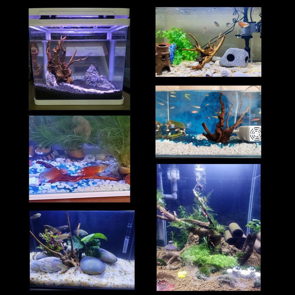 Drewno do akwarium 20-25 cm, n – Planted Aquarium Media recenzja i cena