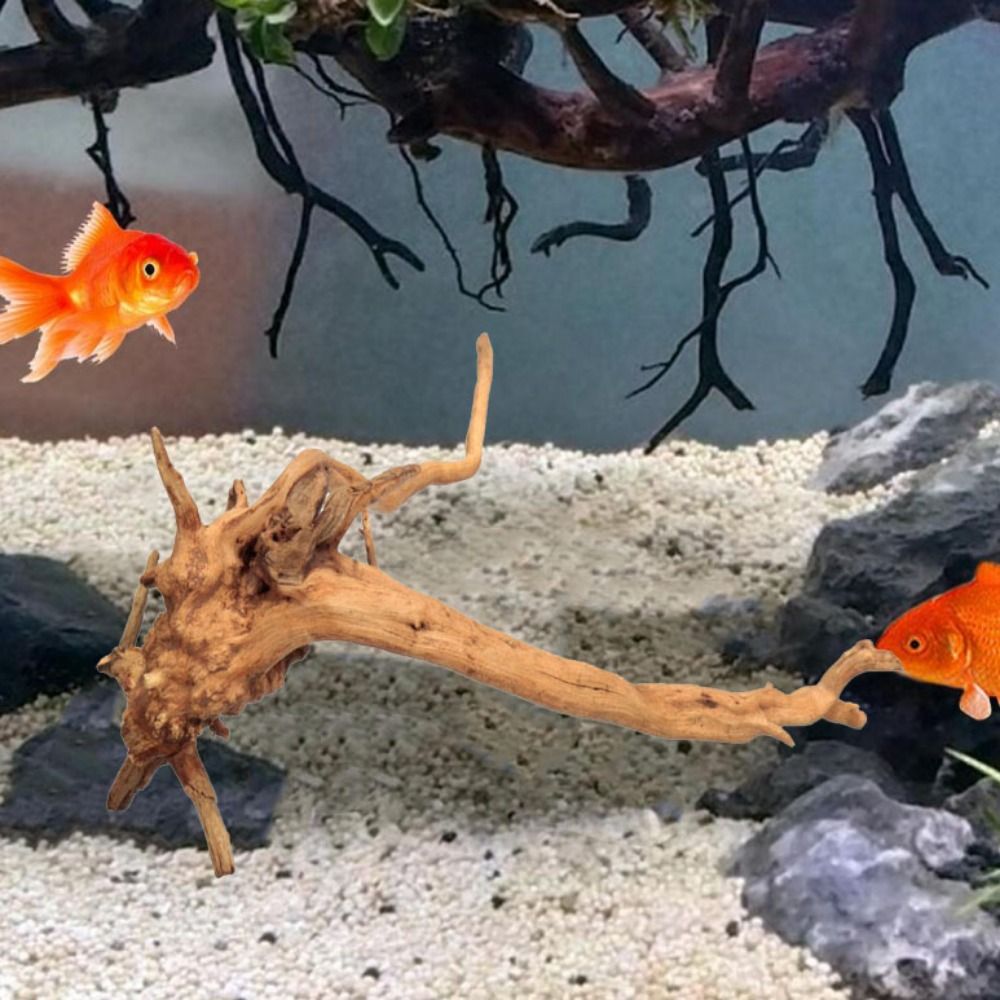 Drewno do akwarium 20-25 cm, n – Planted Aquarium Media recenzja i cena