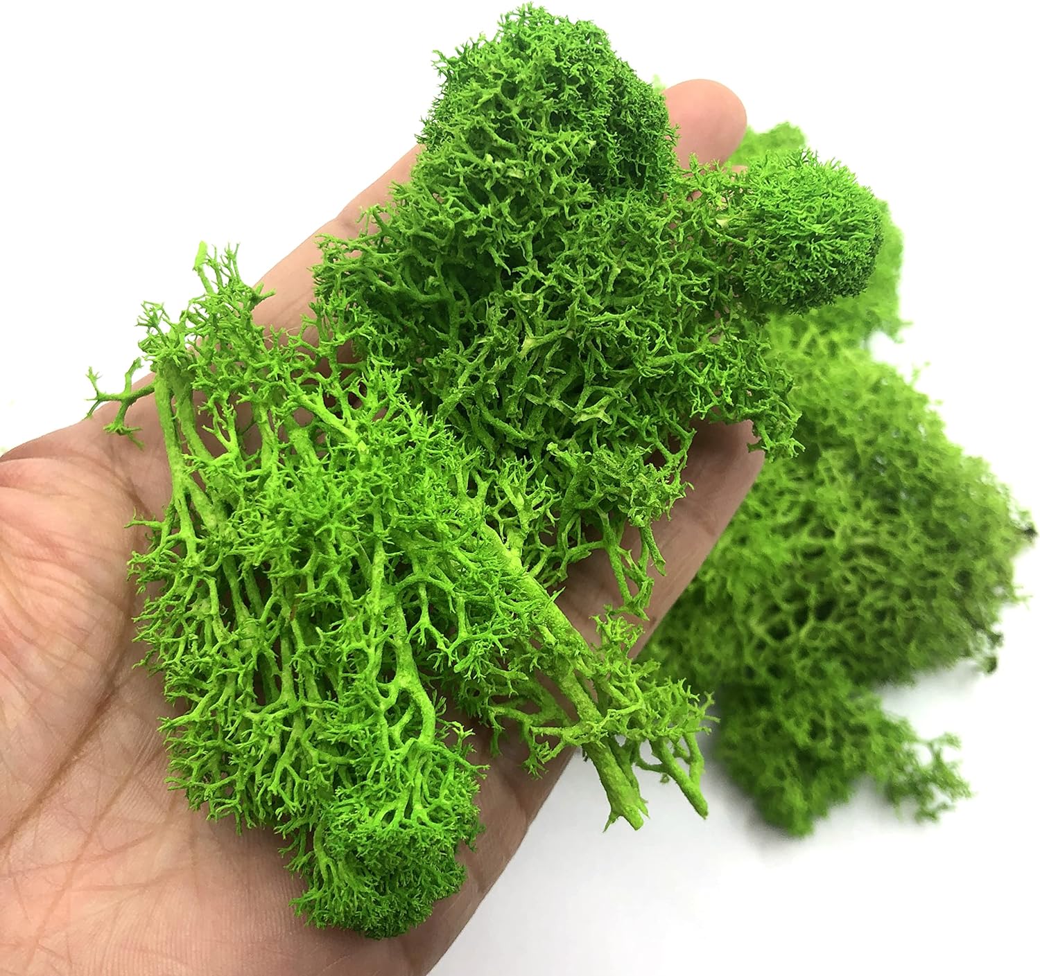 200g Sztuczne rośliny zielone  – Aquarium Plant Seeds recenzja i cena