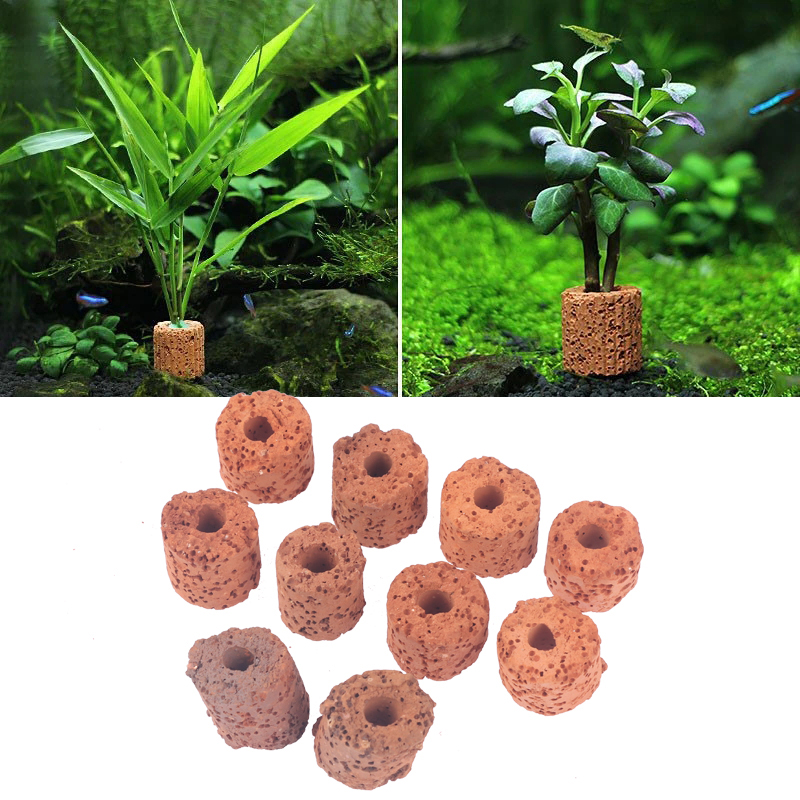 ^10 szt. Pierścieni do roślin  – Aquarium Plant Utensils recenzja i cena