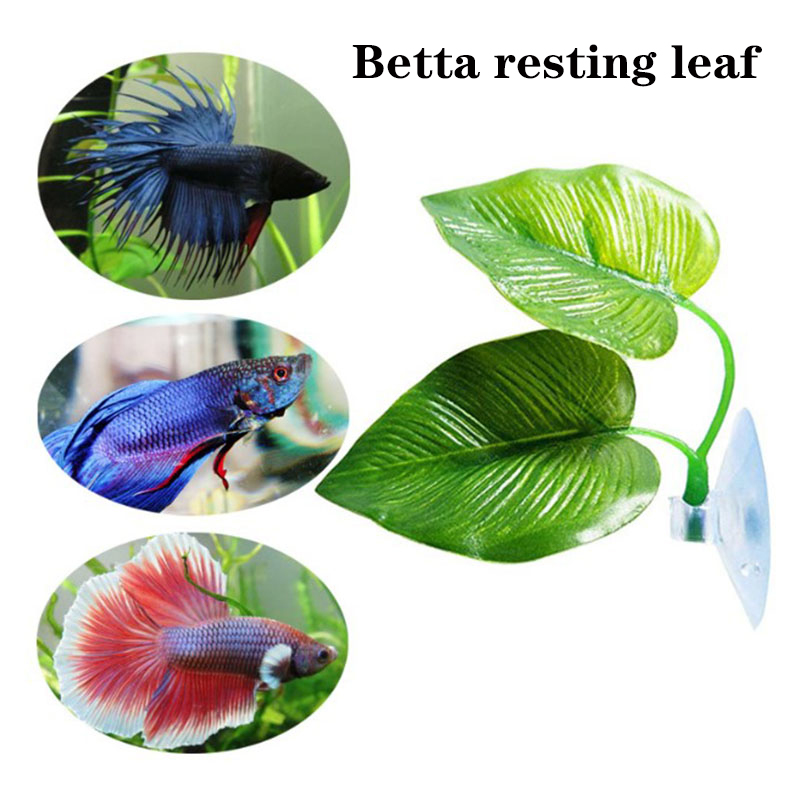 Rośliny do akwarium dla rybek  – Planted Aquarium Betta recenzja i cena